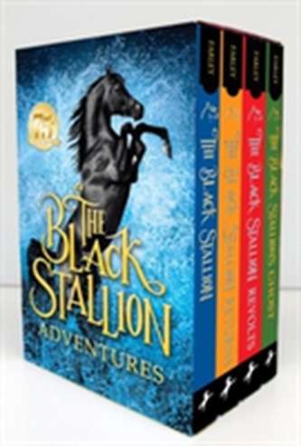 Black Stallion Adventure Set