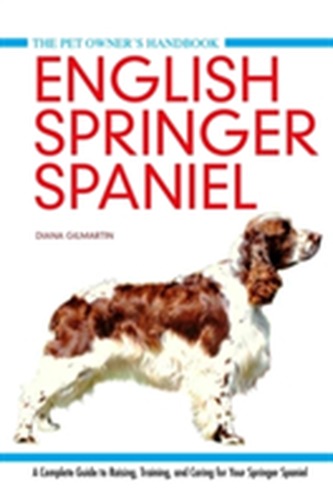 English Springer Spaniel