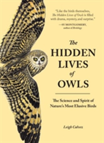 The Hidden Lives Of Owls
