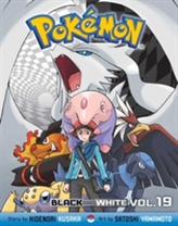 Pokemon Black and White, Vol. 8