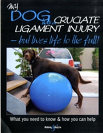 My Dog Has Cruciate Ligament Injury