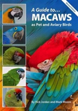A Guide to Macaws