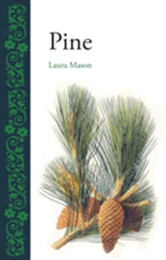 Pine