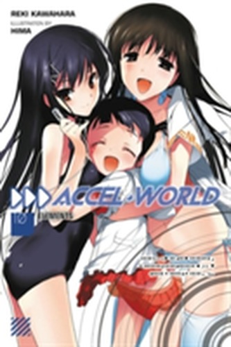 Accel World, Vol. 10 (light novel)