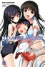Accel World, Vol. 10 (light novel)