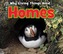 Homes