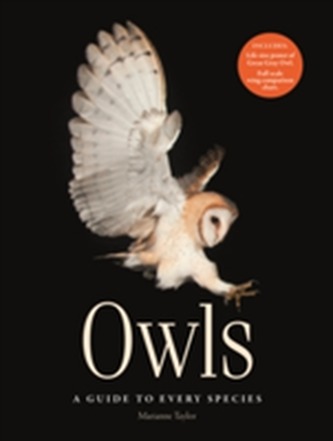 Owls