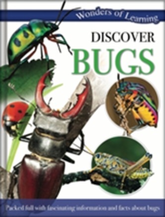 Wonders of Learning: Discover Bugs