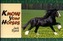 Know Your Horses