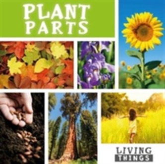 Plant Parts