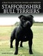 Staffordshire Bull Terriers