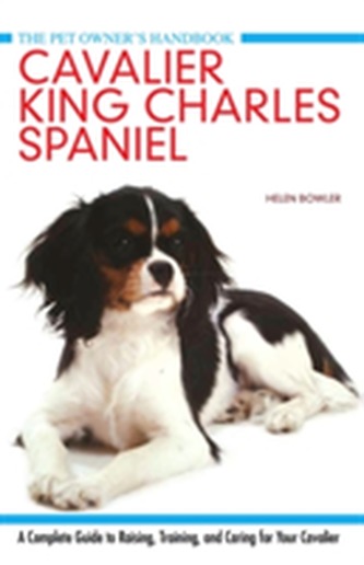 Cavalier King Charles Spaniel