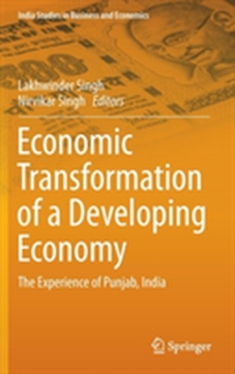 Economic Transformation of a Developing Economy