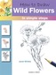 How to Draw: Wild Flowers