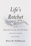 Life's Ratchet