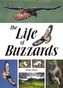 The Life of Buzzards