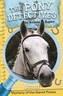 Scout and the Mystery of the Marsh Ponies