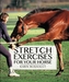 Stretch Exercises for Your Horse