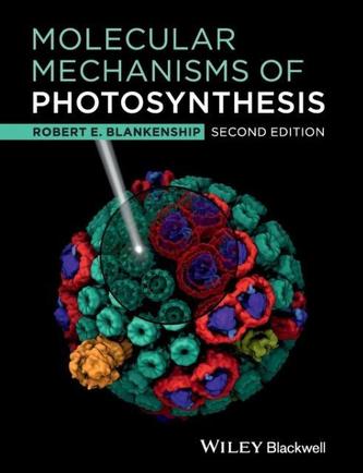 Molecular Mechanisms of Photosynthesis