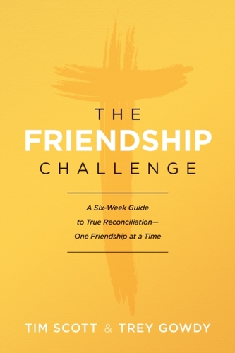 The Friendship Challenge
