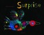 Surprise