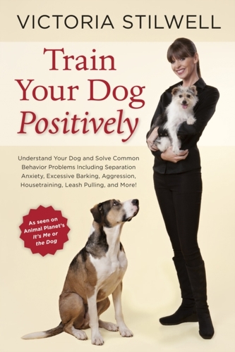 How to Train Your Dog Positively