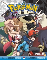 Pokemon Black and White, Vol. 8
