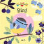 Tales from Nature: Bird