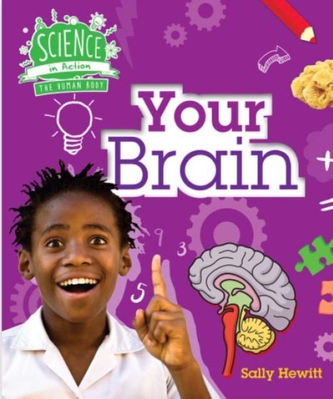 Human Body: Your Brain