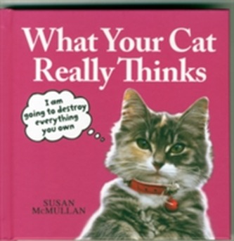What Your Cat Really Thinks