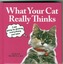 What Your Cat Really Thinks