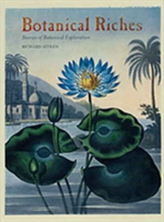 Photography and the Art Market