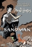 The Sandman Dream Hunters