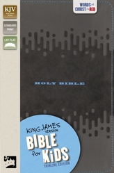 KJV Bible for Kids, Leathersoft, Charcoal