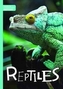 Reptiles