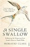 A Single Swallow