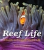 Reef Life