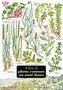 Key to Plants Common on Sand Dunes