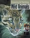 Drawing and Painting Wild Animals