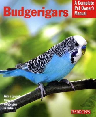 Budgerigars