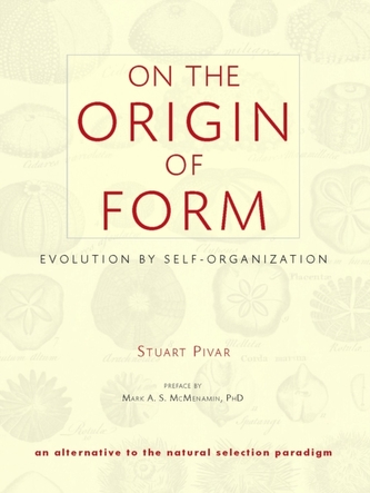 On The Origin Of Form