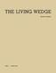 Michael Krebber: The Living Wedge
