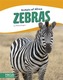Animals of Africa: Zebras
