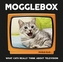 Mogglebox