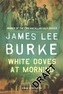 White Doves At Morning