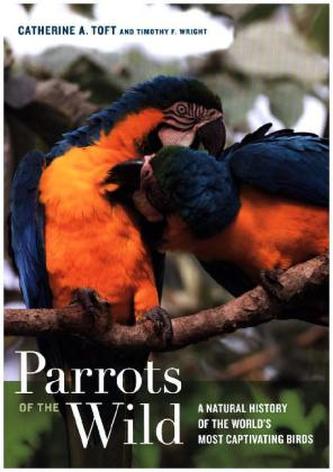 Parrots of the Wild