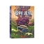 HARRY POTTER & THE CHAMBER OF SECRETS CH