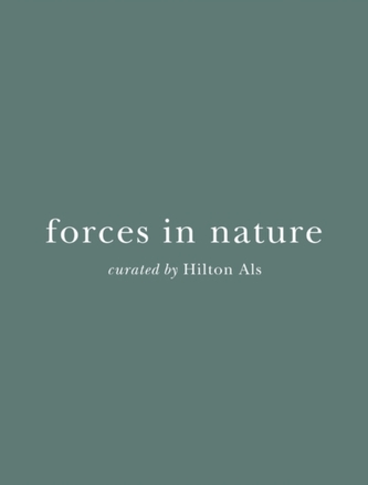 Forces in Nature