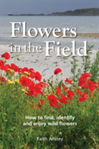 Flowers in the Field