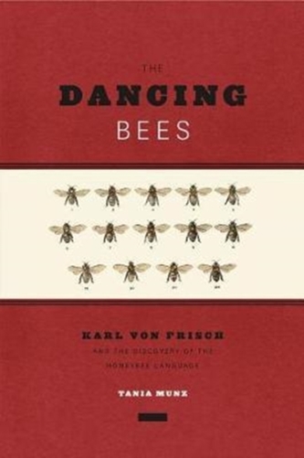 Dancing Bees